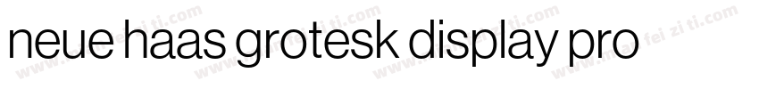 neue haas grotesk display pro 45 Li字体转换